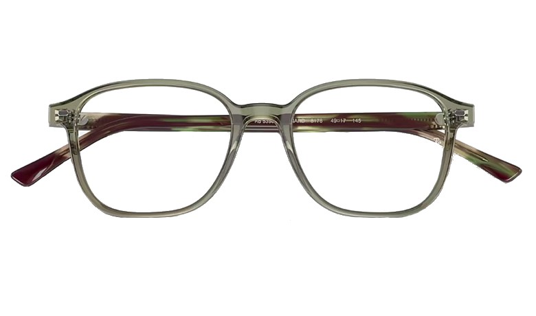 RX 5393 8178 Leonard / Ray-Ban